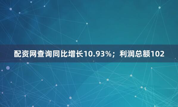 配资网查询同比增长10.93%；利润总额102